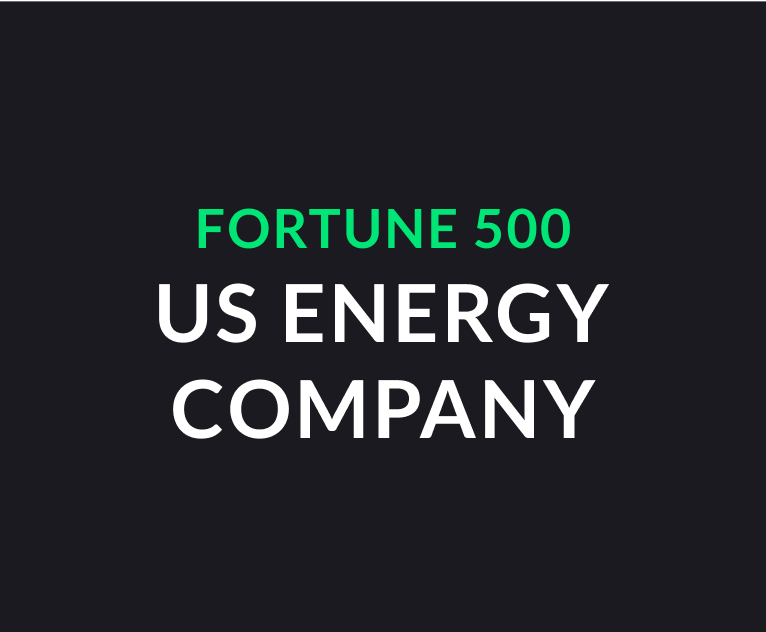 Fortune 500 US Energy Company